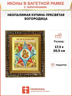 Икона Божией Матери "Неопалимая Купина" с золочением поталью, 03045-УЛ