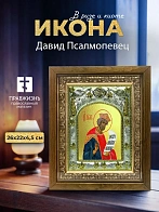 Икона Давид Псалмопевец в ризе и деревянном киоте, 26х22 см Икона Давид Псалмопевец в ризе и деревянном киоте, 26х22 см