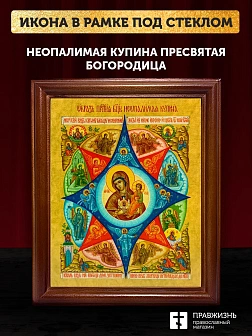 Икона Божией Матери Неопалимая Купина, деревянная рамка со стеклом 15х18х2 см 181