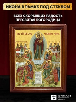 Икона Божией Матери Всех Скорбящих Радость, деревянная рамка со стеклом 15х18х2 см 153