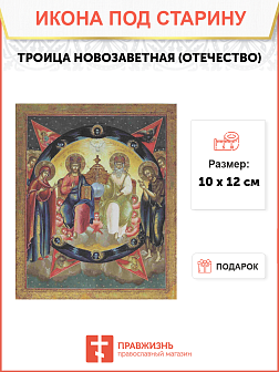 Икона Троица Новозаветная (Отечество)