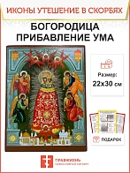 Именная икона Прибавление ума Божия Матерь 122 22х30, царская