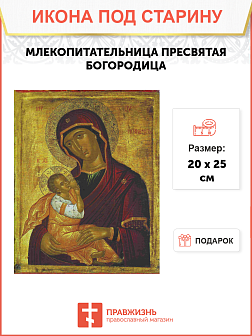 Икона Пресвятой Богородицы МЛЕКОПИТАТЕЛЬНИЦА (ПОД СТАРИНУ)