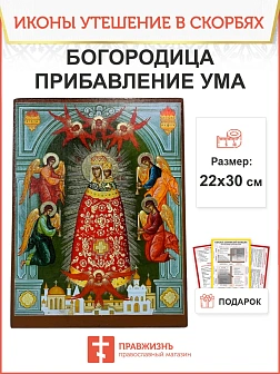 Именная икона Прибавление ума Божия Матерь 122 22х30, царская