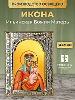 Икона Ильинская Божия Матерь в ризе, 18x24 см