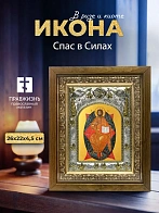 Икона Спас в Силах в ризе и деревянном киоте, 26х22 см