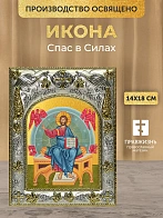 Икона Спас в Силах в ризе, 18х14 см