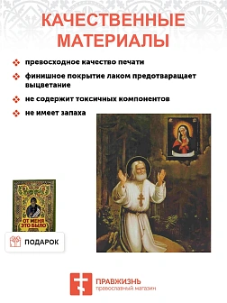Икона Святой Серафим Саровский