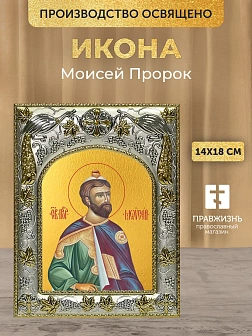 Икона Моисей Пророк в ризе, 18х14 см