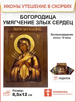 Икона Пресвятая Богородица Умягчение злых сердец 17х24 см