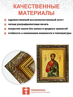 Икона Тимофей апостол, узкая рамка 17,5х20,5х2 см 138
