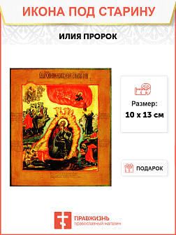 Икона Илья Пророк