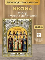 Икона Собор Русских Целителей в ризе, 18х14 см
