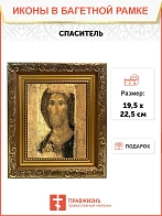 Икона Спаситель Господь Иисус Христос, широкая рамка 19,5х22,5х2 см 214