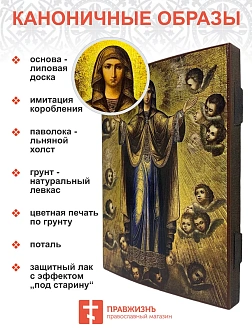 Икона Пресвятая Богородица Нерушимая Стена дерево 18х24 см