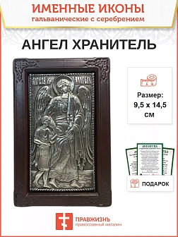Икона 221 Ангел Хранитель гальваника