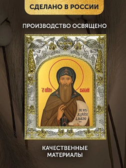 Икона Виталий Александрийский в ризе, 18х14 см
