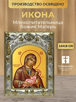 Икона Млекопитательница Божия Матерь в ризе, 18х14 см Икона Млекопитательница Божия Матерь в ризе, 18х14 см