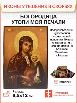Икона Пресвятая Богородица Утоли Моя Печали дерево 17х24 см