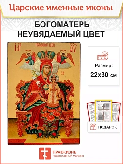 Икона Неувядаемый Цвет БМ 20х30 (165)