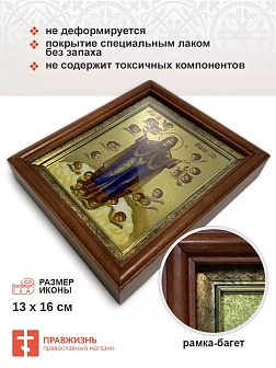 Икона 191 Нерушимая Стена Божия Матерь золочение поталь киот 21 см