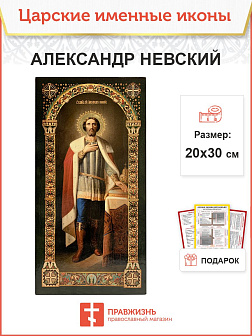 Икона Александр Невский 20х30 (020)