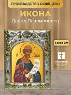 Икона Давид Псалмопевец в ризе, 18х14 см Икона Давид Псалмопевец в ризе, 18х14 см