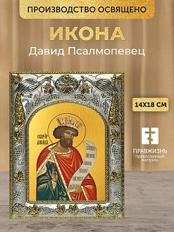 Икона Давид Псалмопевец в ризе, 18х14 см