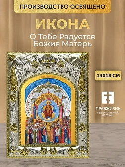 Икона О Тебе Радуется Божия Матерь в ризе, 18х14 см