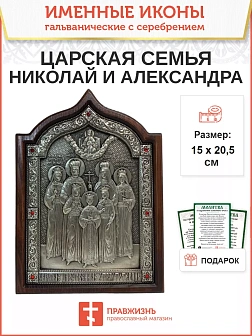 Именная икона 001 Царская Семья Николай и Александра Ольга Татьяна Мария Анастасия и Алексий гальван