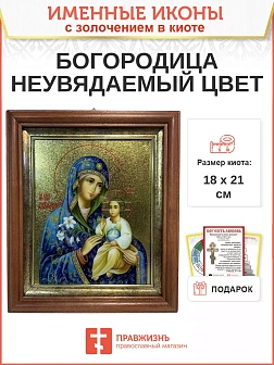 Икона 165 Неувядаемый Цвет Божия Матерь золочение поталь киот 21 см