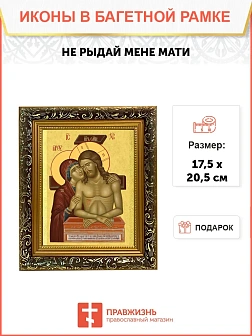 Икона Спаситель и Богородица Не рыдай Мене Мати, узкая рамка 17,5х20,5х2 см 1223