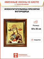 Икона Млекопитательница Божия Матерь