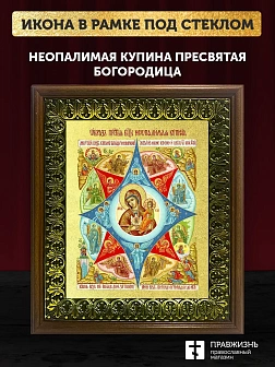 Икона Божией Матери Неопалимая Купина  с золочением, деревянная рамка с басмой и стеклом 18х21х2,5 с