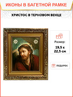 Икона Господь Иисус Христос в терновом венце, широкая рамка 19,5х22,5х2 см