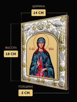 Икона Иулия Карфагенская в ризе, 18х14 см