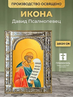 Икона Давид Псалмопевец в ризе, 18x24 см