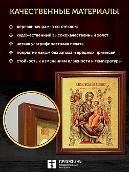 Икона Божией Матери Всецарица с золочением, деревянная рамка со стеклом 15х18х2 см 054