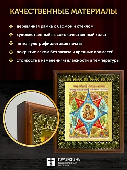 Икона Божией Матери Неопалимая Купина  с золочением, деревянная рамка с басмой и стеклом 18х21х2,5 с