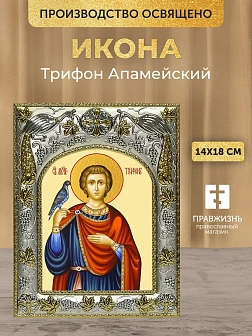 Икона Трифон Апамейский в ризе, 18х14 см