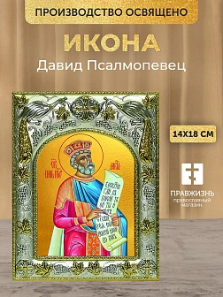 Икона Давид Псалмопевец в ризе, 18х14 см