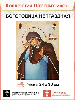Икона 030 БМ Непраздная 22х30