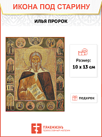 Православная Икона Ильи Пророка