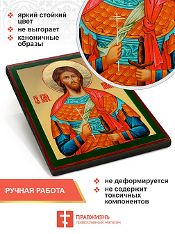 Икона Никита Готфский 25х30 (109) Икона Никита Готфский 25х30 (109)