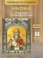 Икона Спиридон Тримифунтский в ризе, 18х14 см