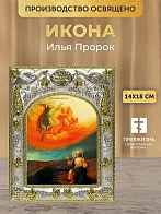 Икона Илья Пророк в ризе, 18х14 см