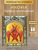 Икона Серафим Шестикрылый в ризе, 18х14 см