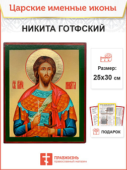 Икона Никита Готфский 25х30 (109) Икона Никита Готфский 25х30 (109)