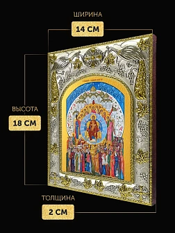 Икона О Тебе Радуется Божия Матерь в ризе, 18х14 см
