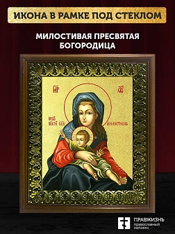 Икона Божией Матери Милостивая с золочением, деревянная рамка с басмой и стеклом 18х21х2,5 см 1120